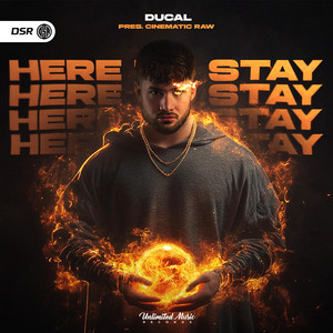 Here To Stay by Ducal, cover art
